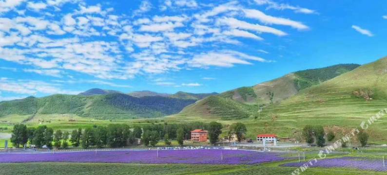 康定瑞景大酒店图片