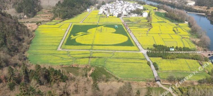 休宁南坑印象民宿图片