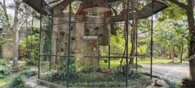 由Cocotel提供的花园家庭客栈。(The Garden Family Guest House Powered by Cocotel)图片