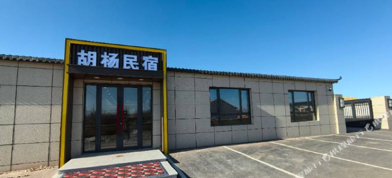 胡杨民宿图片