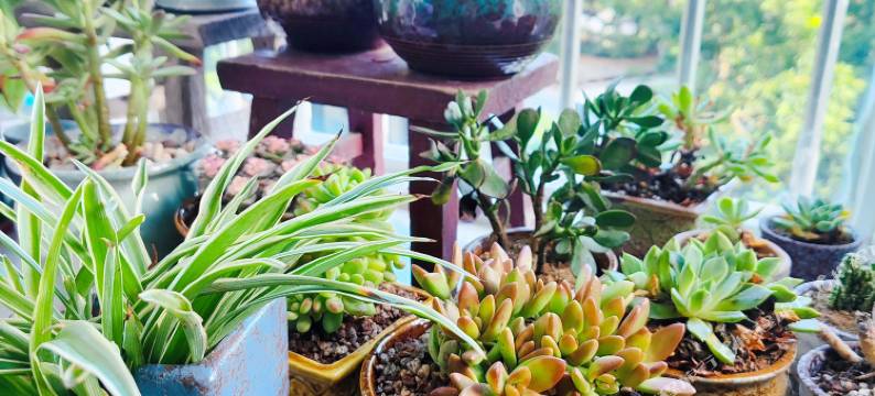 遇见四月青年旅舍(国际客运港侨港银滩店)图片