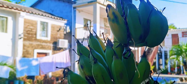 涠洲岛竹里馆民宿图片