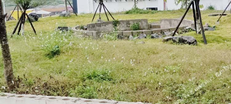 友来居民宿图片