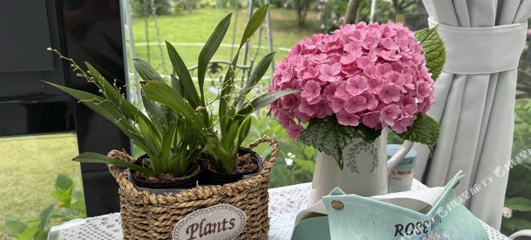 那无忧酒店图片