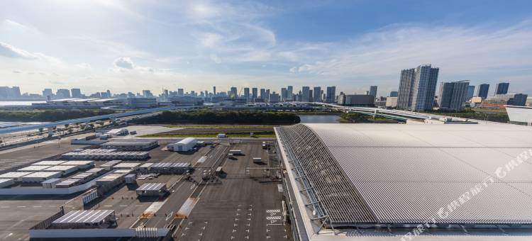 东京有明悦乐酒店(Far East Village Hotel Tokyo Ariake)图片