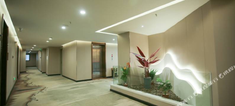 蔚景雅致酒店(梅州大埔店)图片