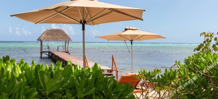 阿莱阿图兰酒店(Alea Tulum)图片