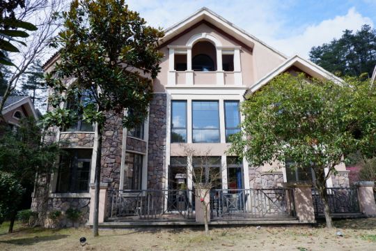 文成天鹅堡森林氧吧别墅