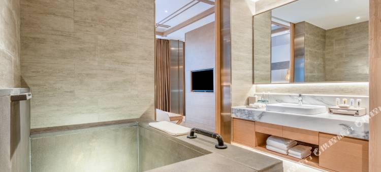 宜春明月山假日度假酒店图片