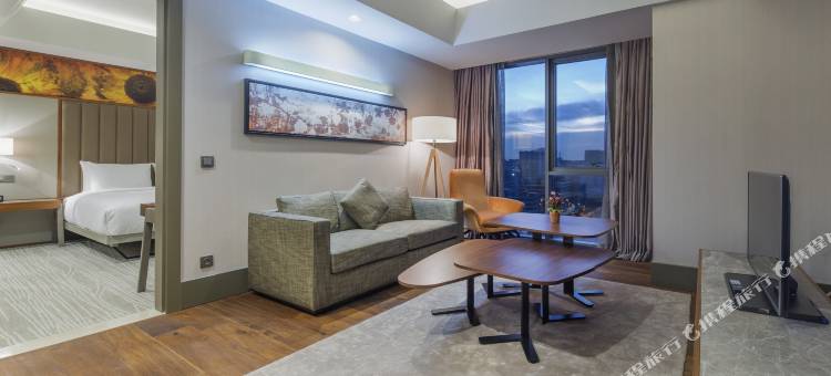 伊斯坦布尔阿塔图尔克机场希尔顿花园酒店(Hilton Garden Inn Istanbul Atatürk Airport)图片