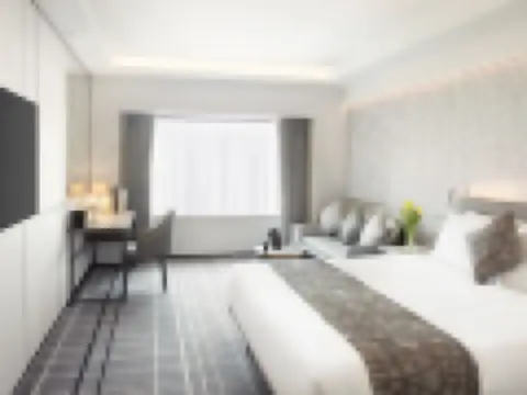 全新裝潢豪華客房