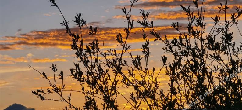 若尔盖黄河第一湾大酒店图片