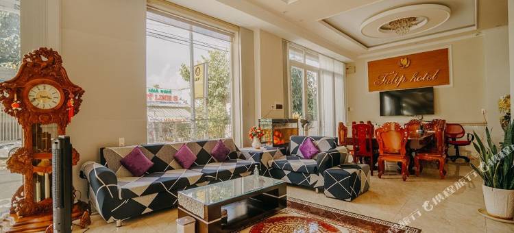 坎托郁金香大酒店(Tulip Hotel Can Tho)图片