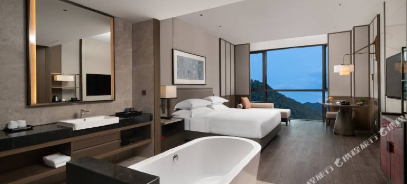 金华磐安宝龙艺珺酒店图片