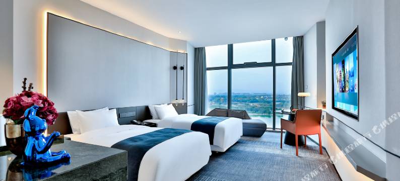 龙游天元名悦大酒店图片