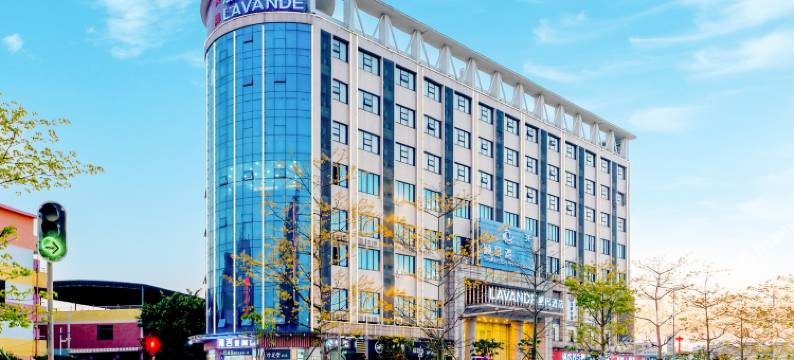 麗枫酒店(广州均禾大道警官学院嘉禾校区店)图片