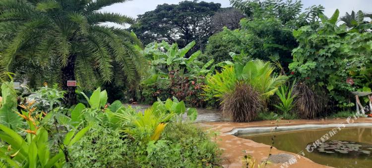 Matsya岛度假胜地(Matsya Island Retreat)图片