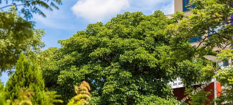 桃园中坜南方庄园渡假饭店图片