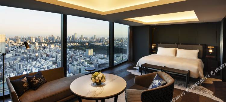 东京泛太平洋骊星酒店(Bellustar Tokyo, A Pan Pacific Hotel)图片
