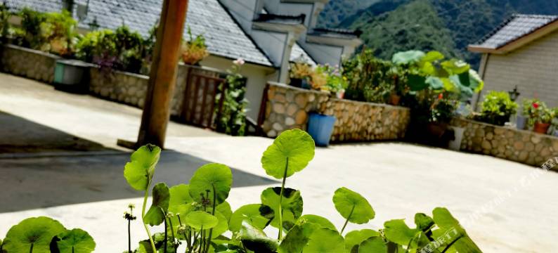 杭州舞云山居民宿(浙西大峡谷店)图片