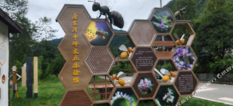 青川虎盘居农家乐图片