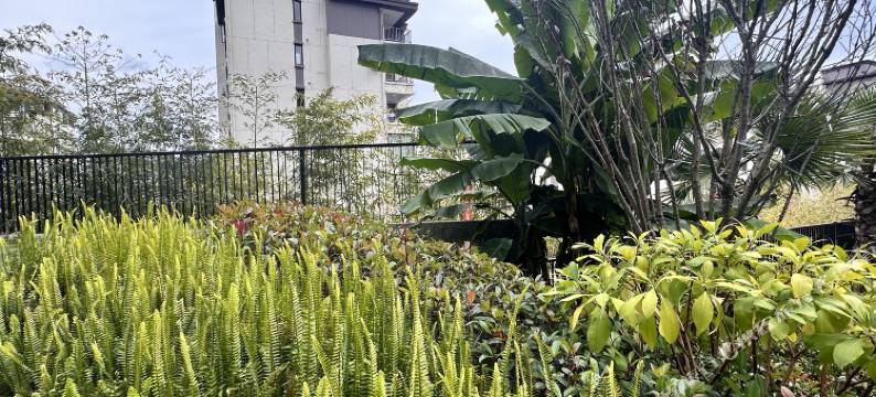 腾冲市喜乐森林温泉民宿图片