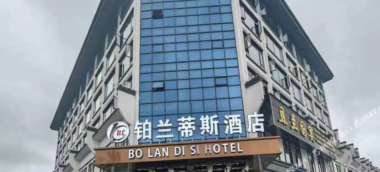 铂兰蒂斯酒店图片