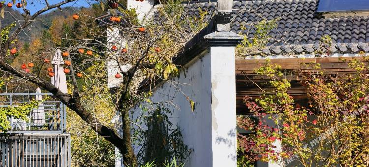 Mosu|宏村厢居·野奢设计师度假酒店(黄山旗舰店)图片