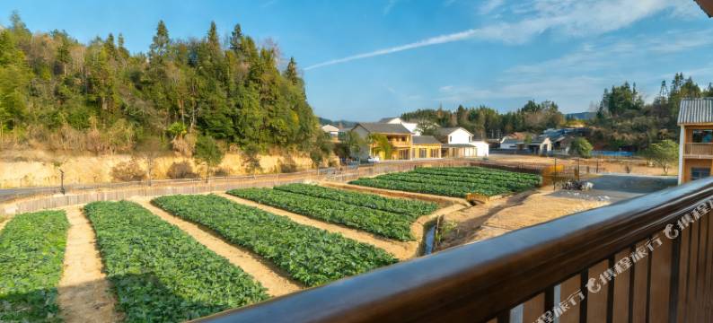 陶邑祖庙美宿图片