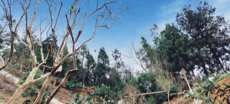 观山木庭酒店图片