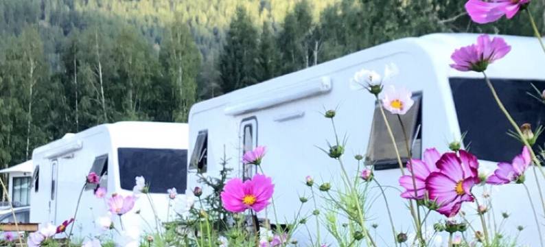 喀纳斯邦吉特房车营地图片