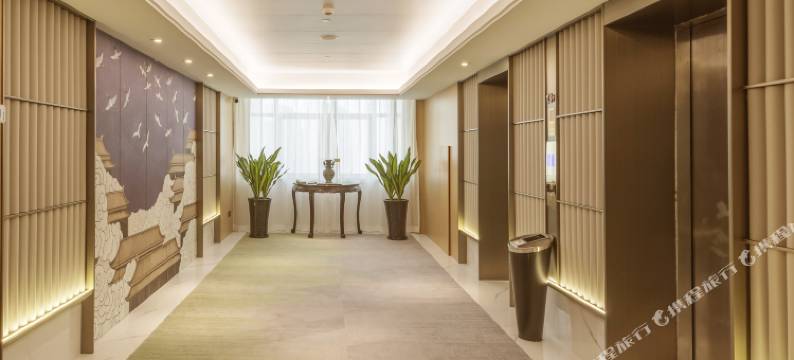 平阳国际大酒店图片