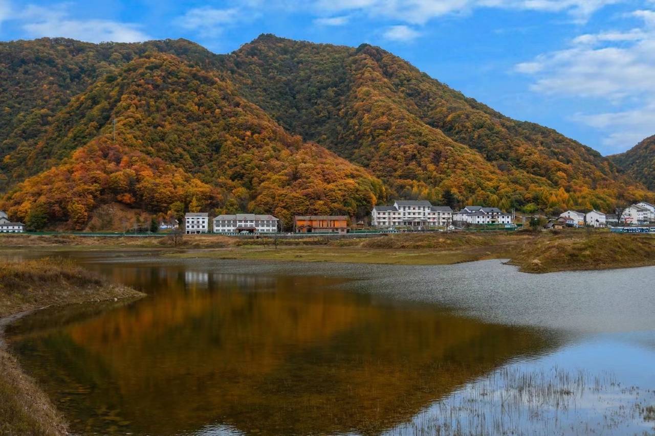 神农架伊人假日酒店(一号湖天籁湖店)