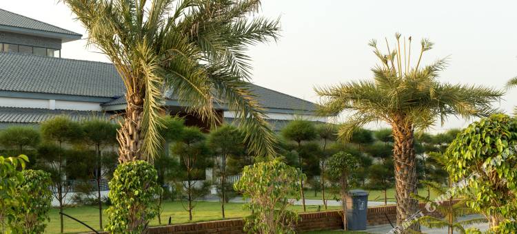 蓝毗尼宫度假村(Lumbini Palace Resort)图片