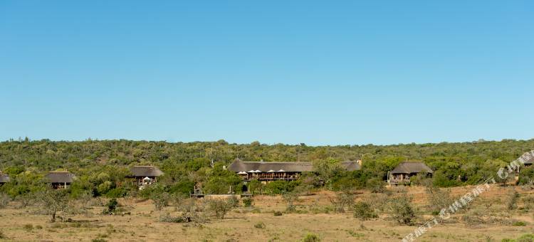 普马巴私人野生动物保护区酒店(Pumba Private Game Reserve)图片