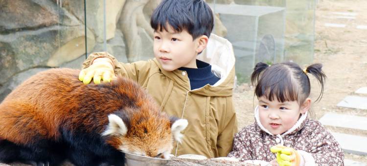 南京固城湾开元名都度假酒店图片