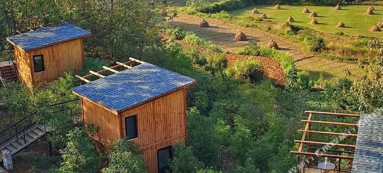 小自然野奢度假村图片