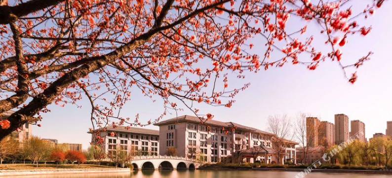 山东齐盛国际宾馆图片