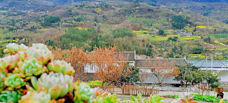 尚客优酒店(互助新客运站店)图片