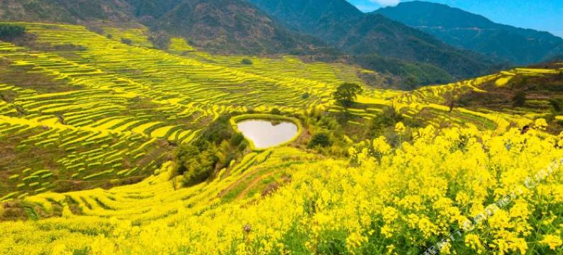 双溪揽月精品民宿(篁岭风景区店)图片