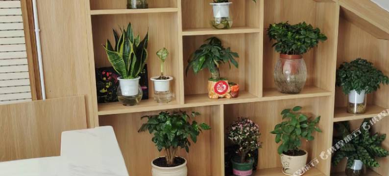 富蕴富城民宿酒店图片