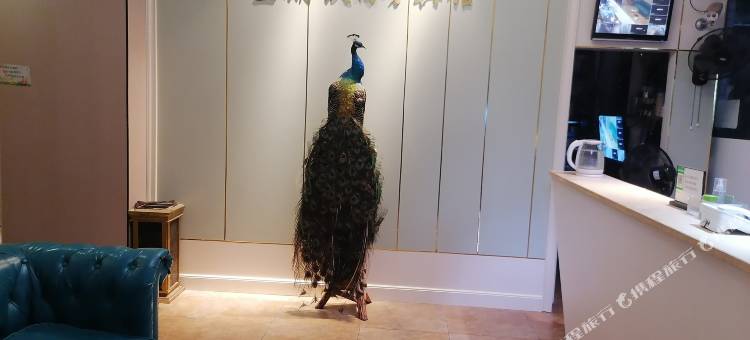 重庆星期玖商务宾馆图片