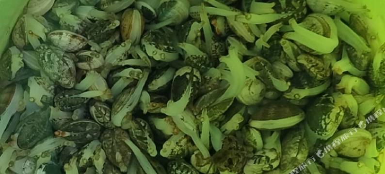 白沙湾海之蓝农家院图片