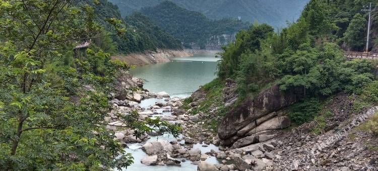 温州泽栖民宿(泽雅风景区店)图片
