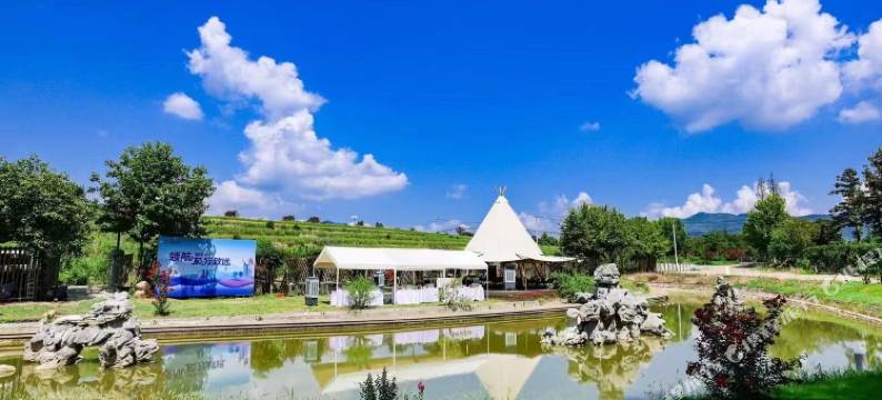 径山春回森林民宿露营基地图片