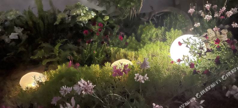 景德镇九歌民宿(陶溪川文创街区店)图片