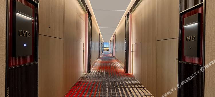 乌鲁木齐国际会展中心丽芮酒店图片