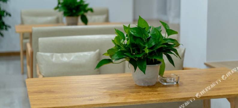 朝花江景酒店图片