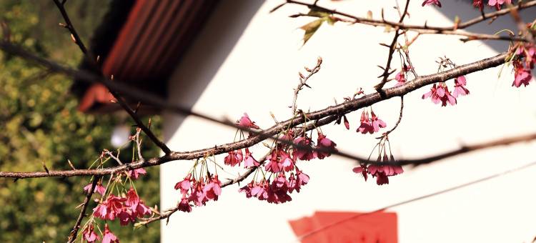 将乐在水一方休闲山庄图片