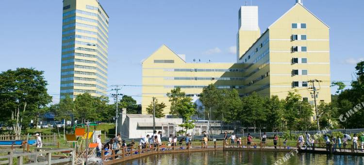 安比高原皇冠假日度假村 - IHG 旗下酒店(Crowne Plaza - ANA RESORT APPI KOGEN)图片